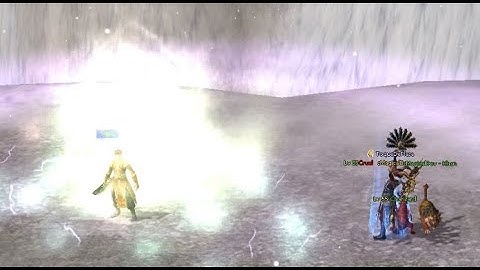 ★ zMagicalDev ★ DMG Record ~ Shaman 55 PvP Metin2