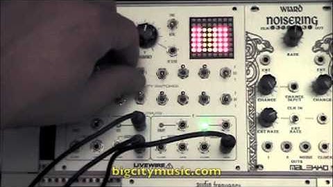 Livewire Chaos Computer eurorack module