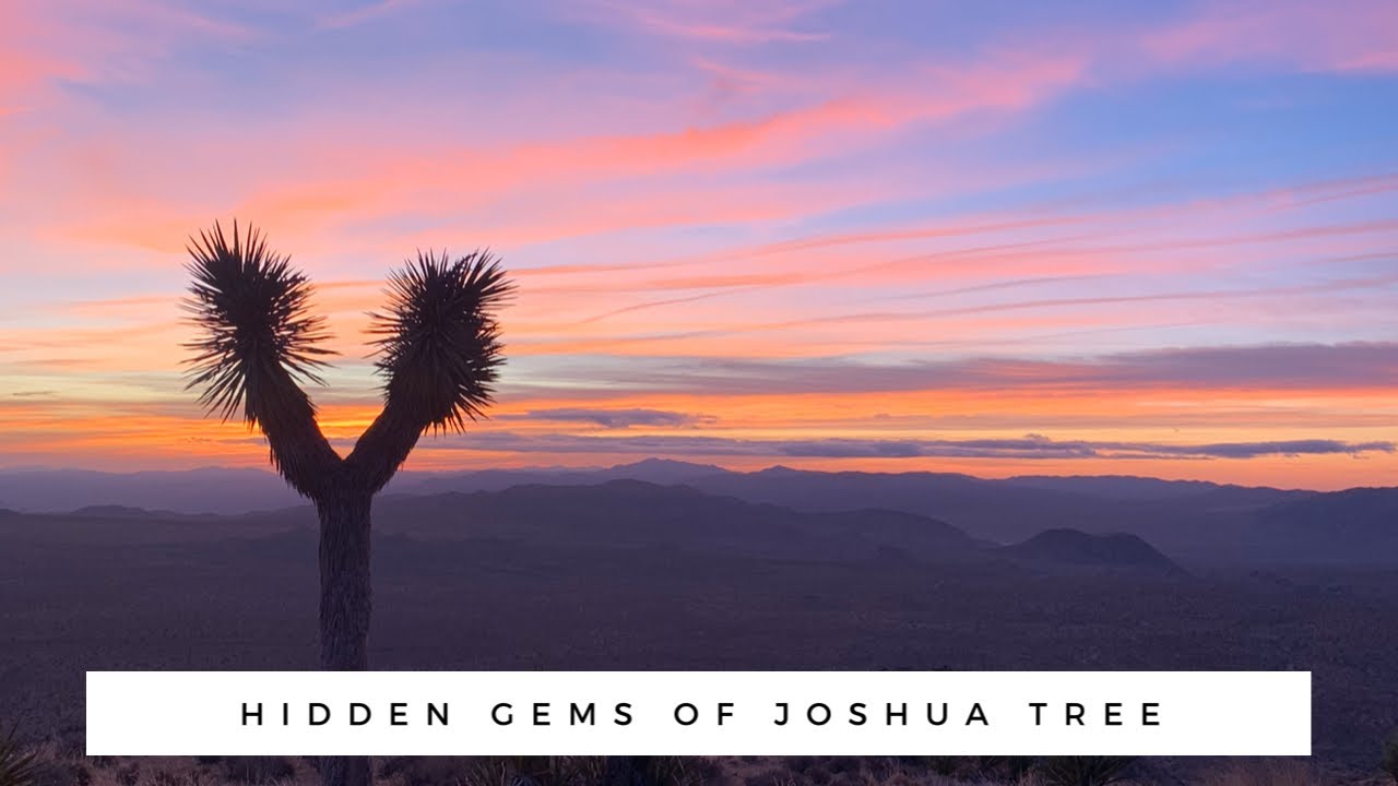 JOSHUA TREE | Hidden Gems: The best things to do in Joshua Tree