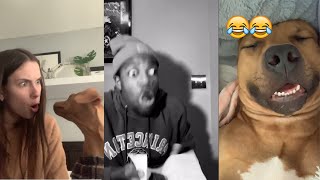A MUST WATCH tiktok 🤣🤣🤣  Try not to laugh