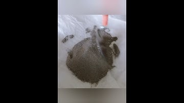 Pollution control board