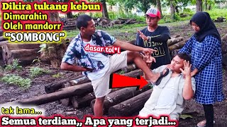 Dikira tukang kebun dihina habis habisan oleh mandor sombong tak lama semua terdiam ternyata
