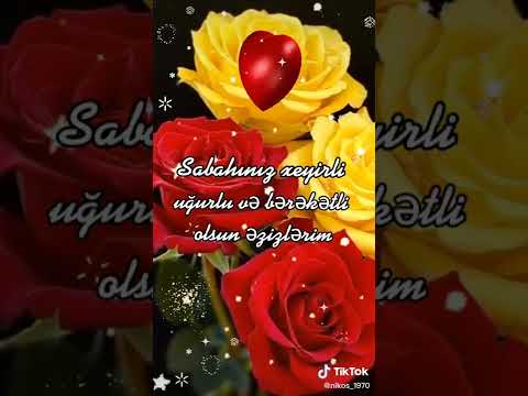 sabahınız xeyir əziz izləyicilərim gününüz uğurlu olsun inşallah 🙏🌷🌷