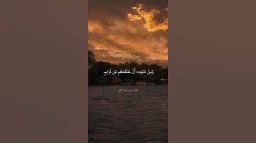 سورة الروم | محمد صديق المنشاوي #المنشاوي #قرآن