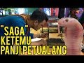 Kontes Reptil | SAGA ketemu panji petualang | SAGA juara