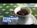 Утренний гость: Василий Котов