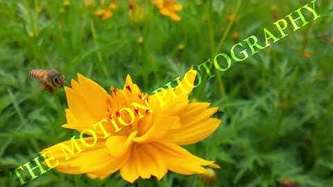 High-Quality AI  & ML Datasets for Computer Vision  Video Training #datasets #ai #ml #MLlearning #AI