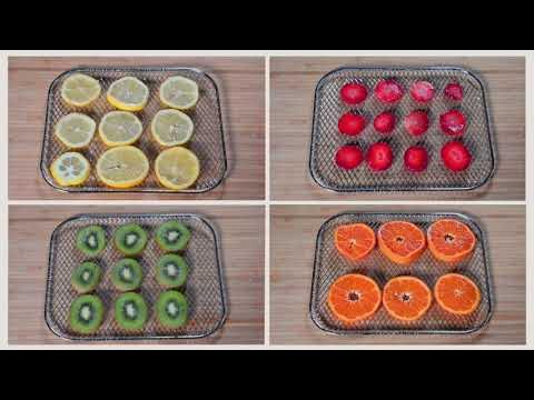 BEST Food Dehydrator  How to Use a Dehydrator for Royal Icing Cookies -  Borderlands Bakery