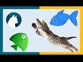 🐈Juego para gatos en pantalla de peces🐾 - Juego de peces - Games for cats