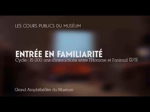 Vidéo: Musée de l'Elevage de Chevaux et Musée Biologique. Les rues Timiryazevskaya et M. Gruzinskaya ne vous laisseront pas indifférents