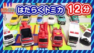 トミカのはたらくくるま｜3WAY オートやまみちどうろセットで遊びました☆子供向け知育動画