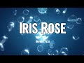 Miniature de la vidéo de la chanson Iris Rose