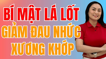 Bí mật về lá lốt giúp giảm đau nhức xương khớp – Không phải ai cũng biết cách dùng đúng