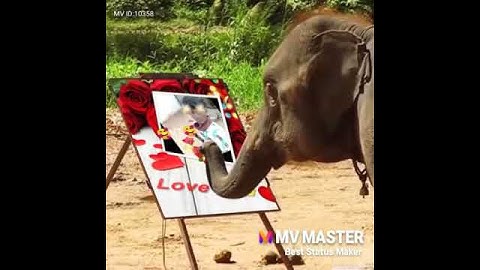 Vishal Sanjay...