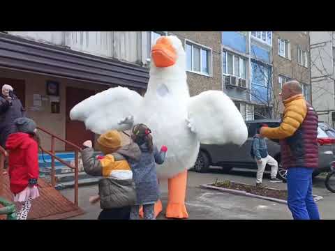 ГУСЬ Аниматор Киев ин юа