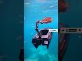 Trapping a MONSTER fish with a Robot CAGE! 🤯🤖 #shorts #fishing #tech