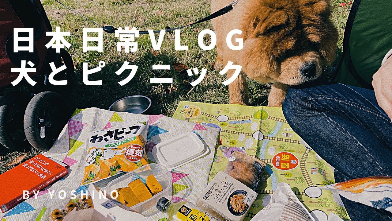 日本生活vlog 東京公園野餐 Lawson 便利商品食物 跟老公各自買對方會喜歡的食物 帶狗狗去野餐 日本日常 秋のピクニック 犬 と暮らし