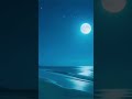 Alone On A Tropical Beach At Night Under A Full Moon #beach #waves #moon #relaxation