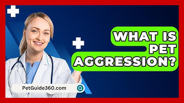 What Is Pet Aggression? - PetGuide360.com