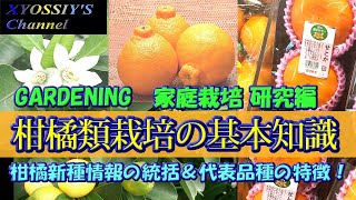 【XYOSSIYのライフチャンネル】柑橘類栽培の基礎知識を勉強しました。（せとか、はるみ、はるか、あまか、デコポン、ネーブル、栽培方法）