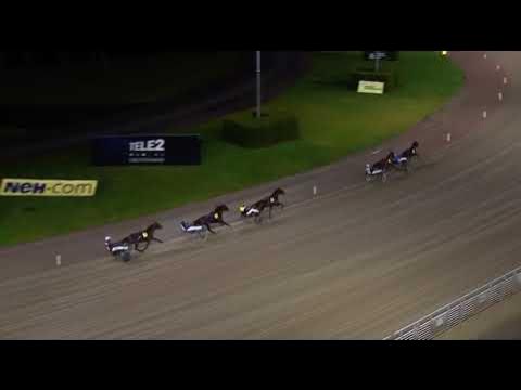 Uttagningslopp Svensk Uppfödningslöpning 2023 Romulus Tooma & Ulf