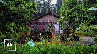 RAINY PARADISE IN RURAL INDONESIA, WALK IN HEAVY RAIN THUNDERSTORM, RELAXING DEEP SLEEP