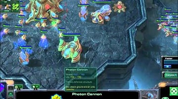 PvZ - Countering muta/roach