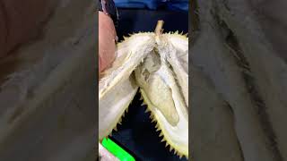 Makan durian di malam hari #durian #buah #belah #durianindonesia
