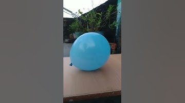 Petrol vs balloon|| experiment shorts easy || science experiment ||#shorts