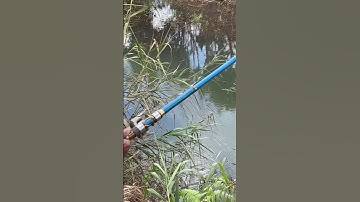 câu cá suối tự nhiên