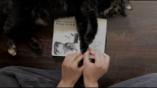 2yr old journal & 2yr old cat by Rasha Lama 49 views 1 year ago 8 minutes, 32 seconds