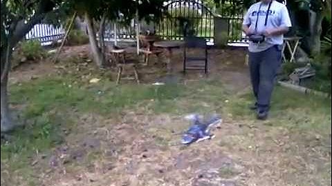 Airwolf Hausler 450-v1. Assan ga-250 gyro