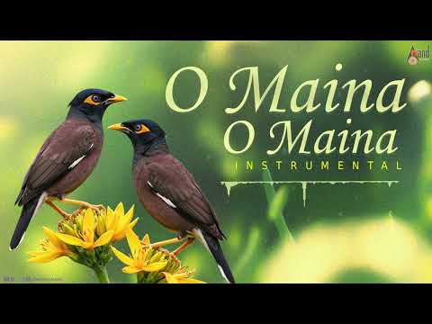 O Maina O Maina | Carnatic Classical Instrumental | Praveen Godkhindi | Flute Instrumental