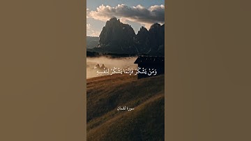 وَلَقَدْ آتَيْنَا لُقْمَانَ الْحِكْمَةَ أَنِ اشْكُرْ لِلَّهِ || سورة لقمان || علي جابر