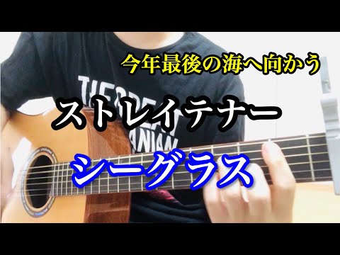 ストレイテナー/シーグラス【弾き語り】cover
