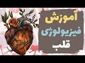 آموزش فیزیولوژی قلب براساس فیزیولوژی گایتون