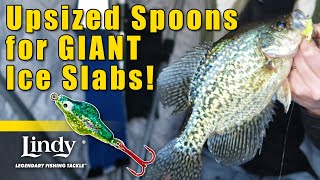Target GIANT Crappie with BIG Spoons This Winter