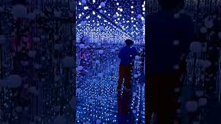 Light show!! In da club! #sensoryfun