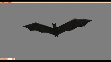 Low Poly Bat Flying Animation