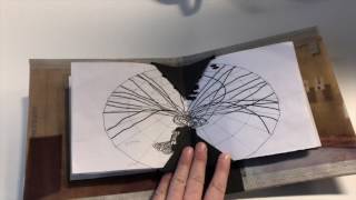 Munich Artists Examples of Crown Binding from Beginnings Workshop
