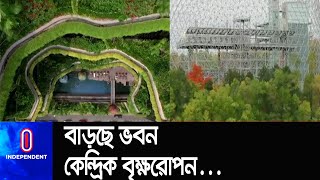 ছাদকৃষিতে গুরুত্ব দিচ্ছেন পরিবেশ বিজ্ঞানীরা।  || [World Urban Agriculture]