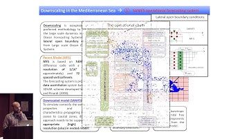 COST-EOS training: Downscaling in the Mediterranean Sea