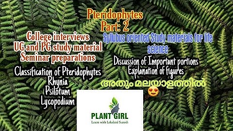 Pteridophytes //Part2//classification //Rhynia/Psilotum/Lycopodium//മലയാളം ക്ലാസ്സ്‌ 😍😍