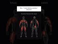Bro 💀 #gymmeme #winterarc #bestGymApp Track your workouts with Lyfta - Gym Workout tracker