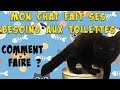 Comment jai appris  mon chat  utiliser les toilettes  litter kwitter 