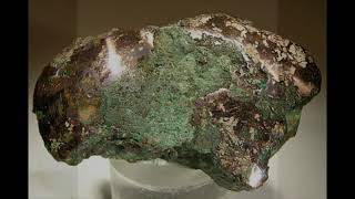 Which are the most abundant elements on Earth?