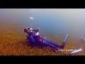 Philippines 2020 - Cabilao under water - diving in paradise - Tauchurlaub im Polaris Beach Resort