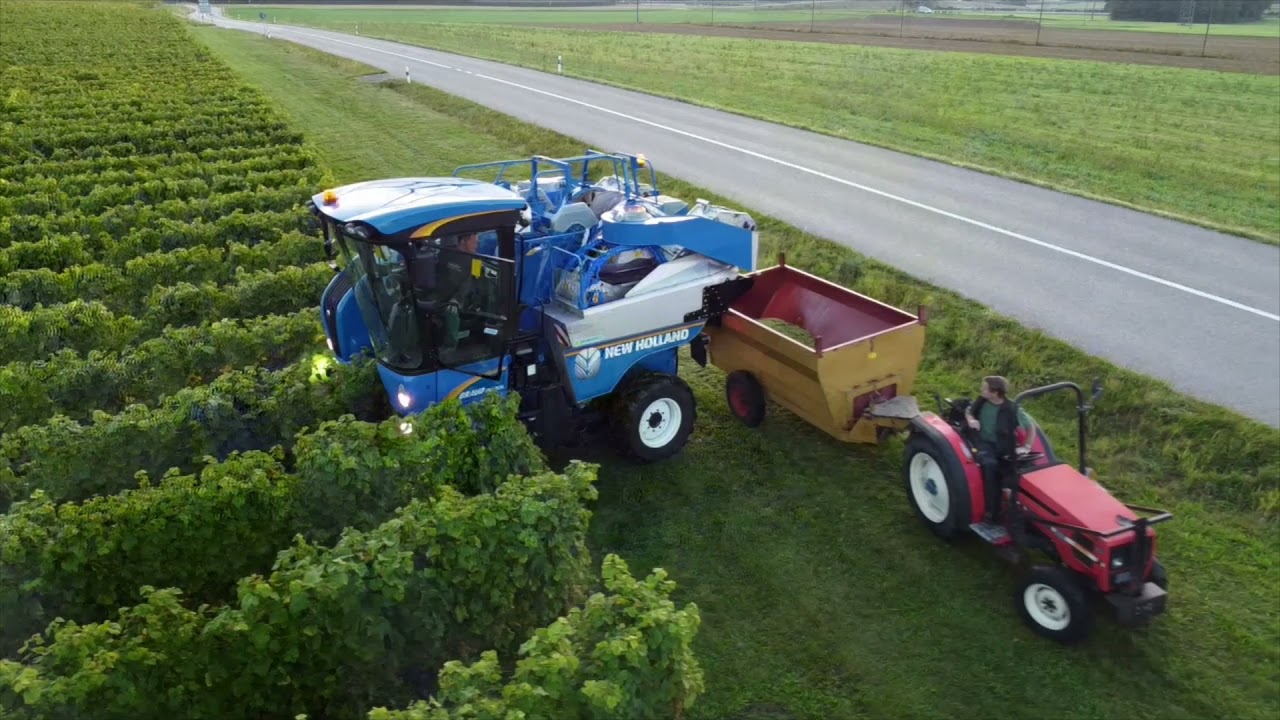 Vendanges 2021 avec une braud 8030