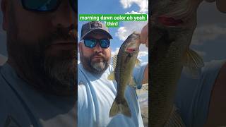 Bass Fishing Neighborhood Pond! #fishing #bass #florida