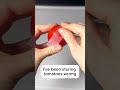 Keep your tomatoes fresh longer 🍅 #tomatoes #fresh #hack